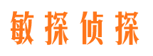 旌阳市私家侦探